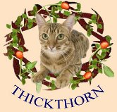 thickthorn logo